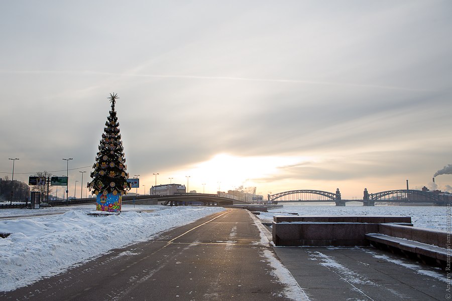 Новогодняя городская елка Санкт-Петербург